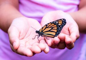 There is a moment that arrives quietly; we may have no words to describe it, but grief is beginning to grow in our chest.