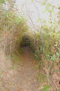 73 and Writing a New Mission Statement