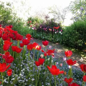 When Love Must Say Goodbye A Gentle Guide of Blessings, Prayers, and Ceremonies for Your Beloved Pet